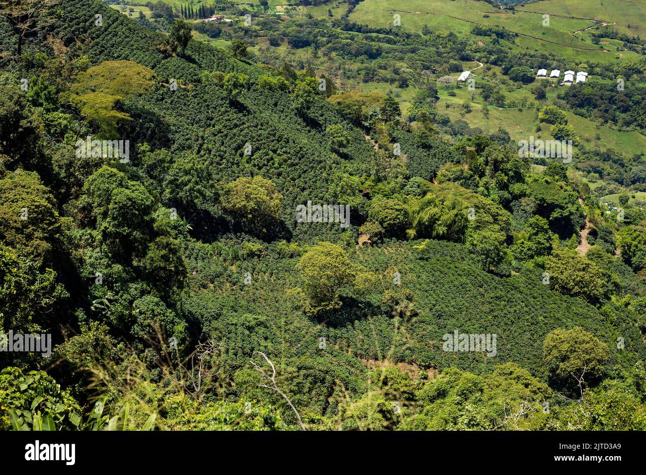 Southwest colombia hi-res stock photography and images - Alamy