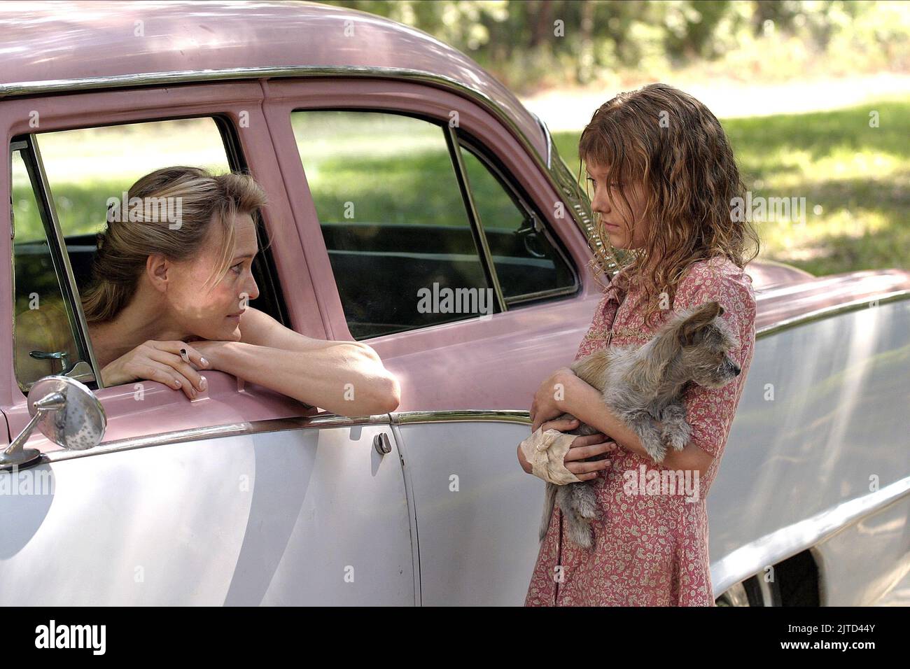 PENN,FANNING, HOUNDDOG, 2007 Stock Photo Alamy