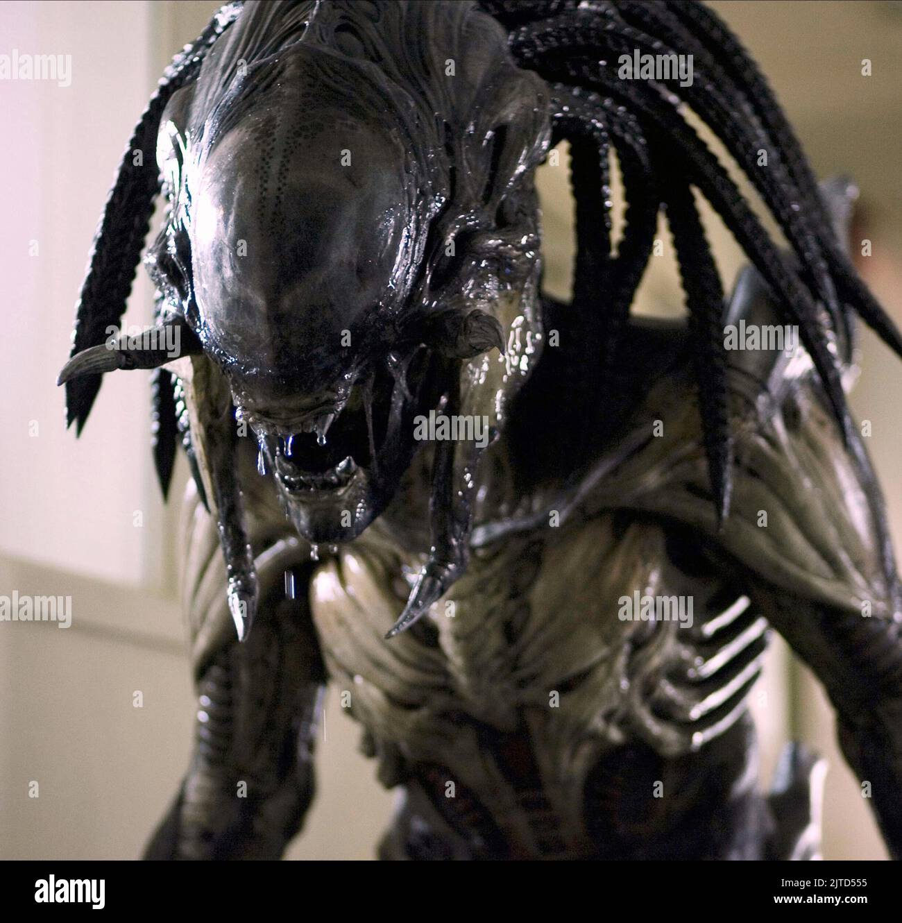 Aliens vs predator 2 hi-res stock photography and images - Alamy