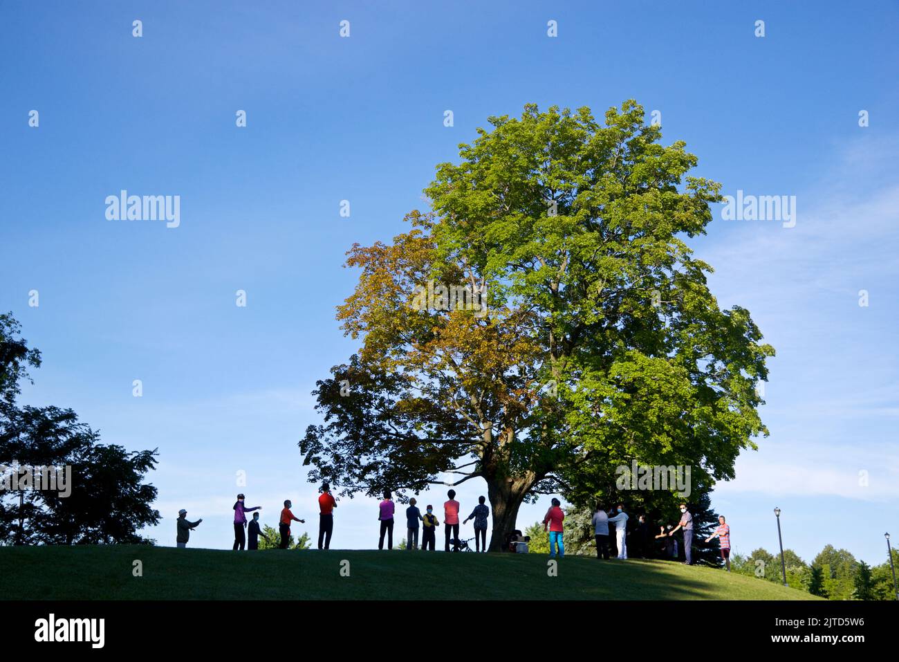 Toronto, Ontario / Canada - Aug 28, 2022: Silhouette of a group of people doing the morning exercise in the park Stock Photo