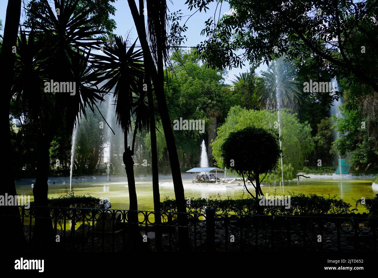 Duck Pond, Parque Mexico in wealthy neighborhood, Mexico City, Mexico, CDMX Stock Photo