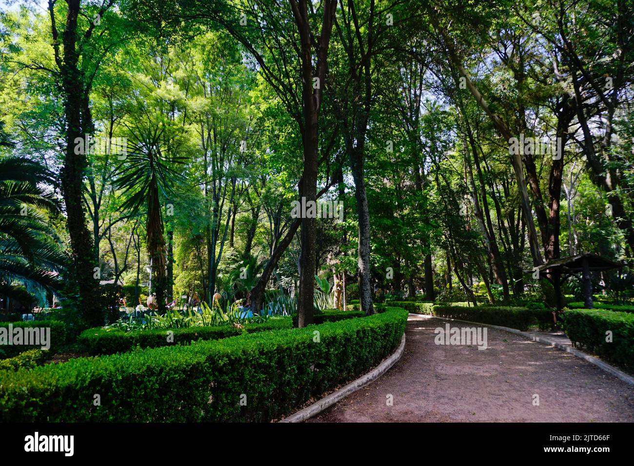 Parque Mexico in wealthy neighborhood, Mexico City, Mexico, CDMX Stock Photo