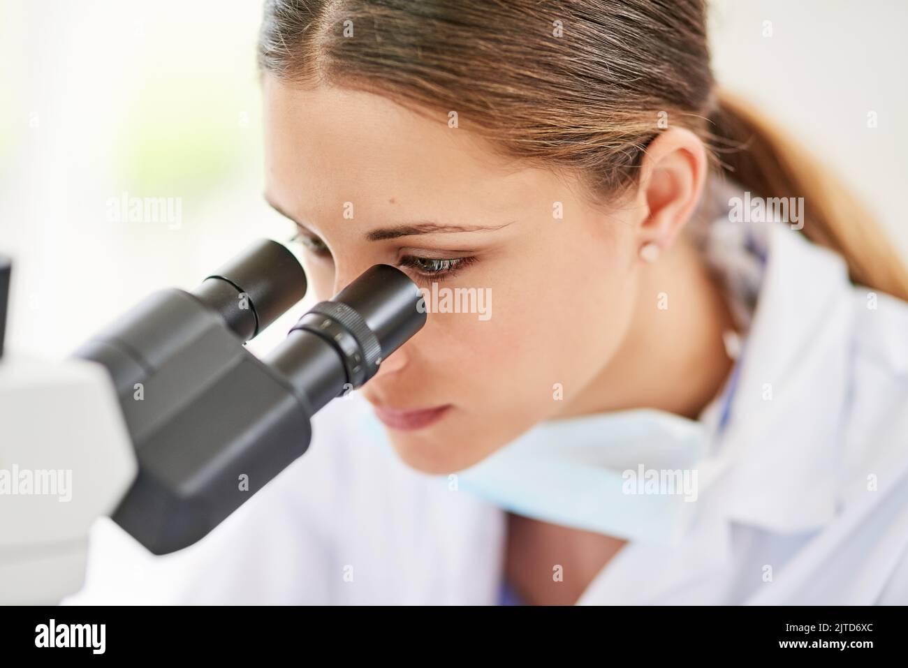 Shes been making some fascinating findings. a young female scientist working in a lab. Stock Photo