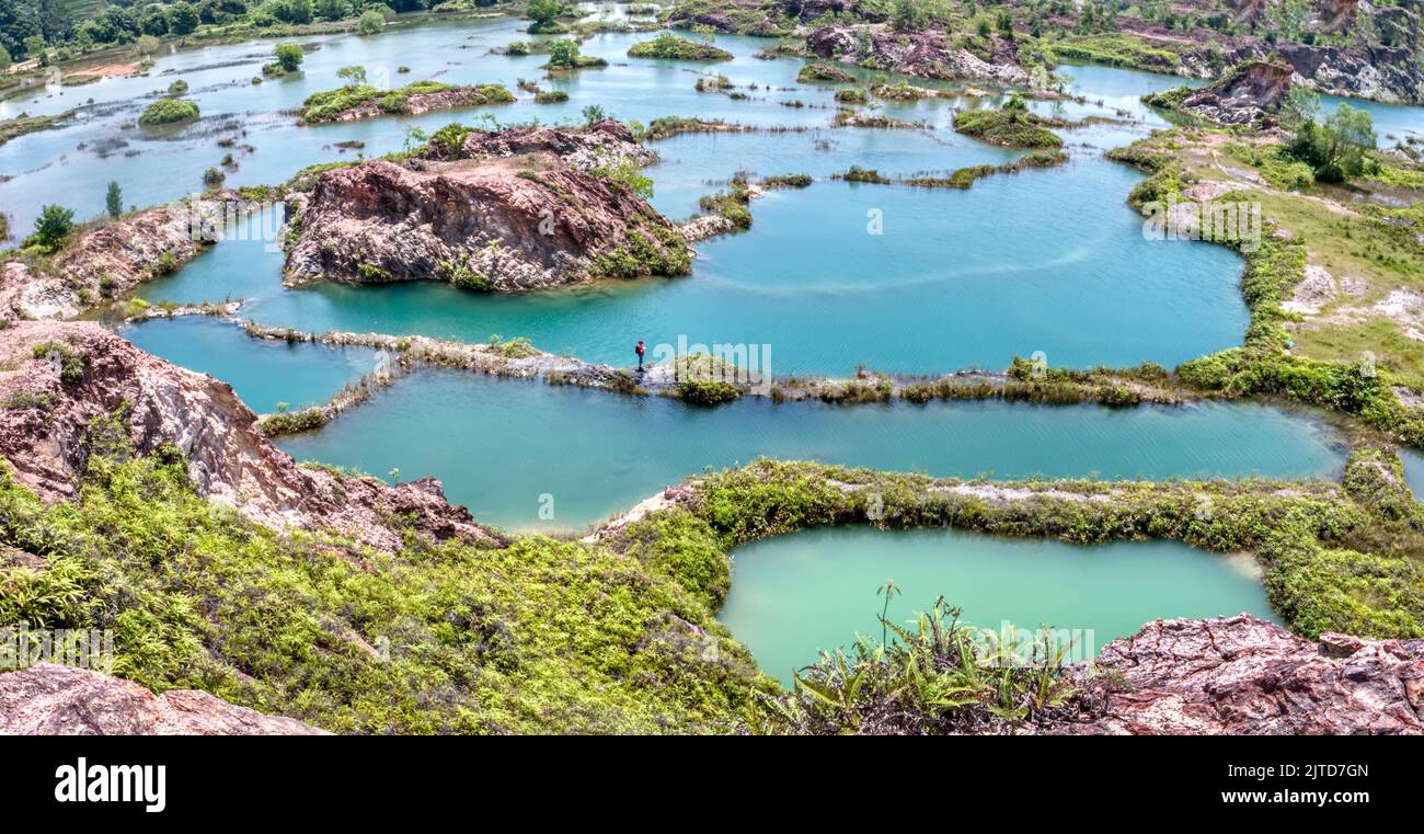 Vegetation Around The Abandoned Mining Pond Stock Photo Alamy