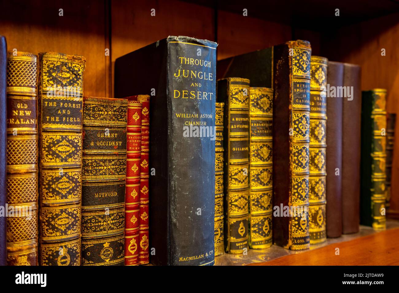 Brisbane, Queensland, Australia A collection of old books at the