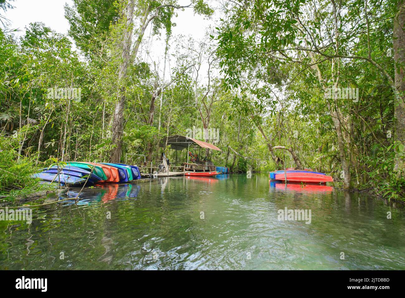 Recently popular attraction Ban Nam Rad Watershed Forest at Khiri Rat Nikhom district, Surat Thani province, Thailand. Stock Photo
