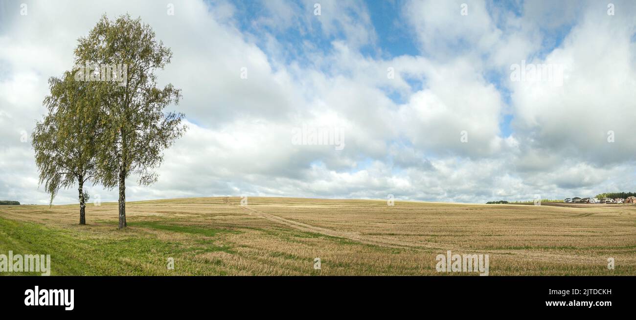 picturesque rural scenery with yellow fields after harvest under dramatic cloudy sky. panoramic image. Stock Photo