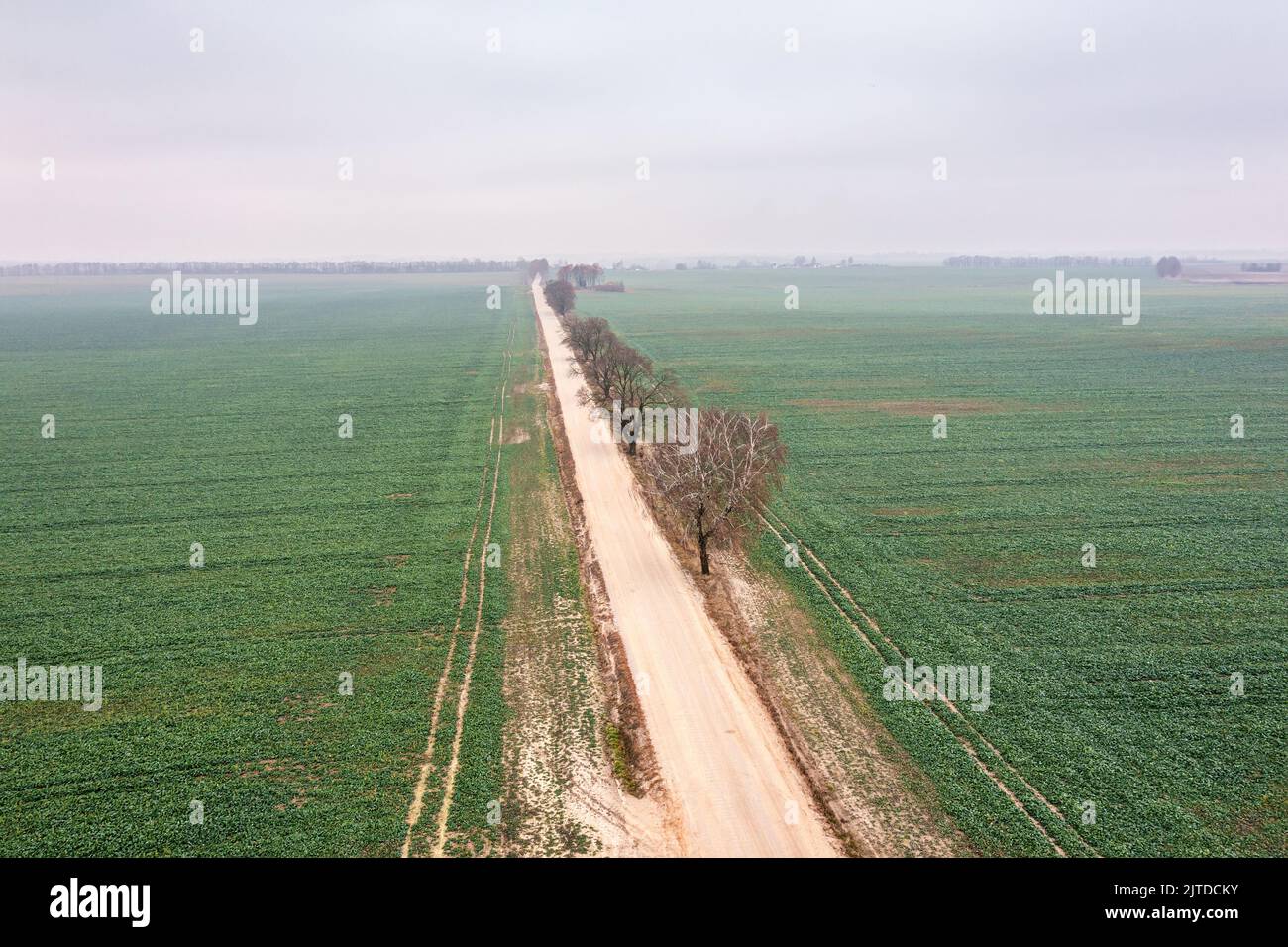 aerial view of rural landscape with straight dirt road through cultivated fields in foggy day Stock Photo