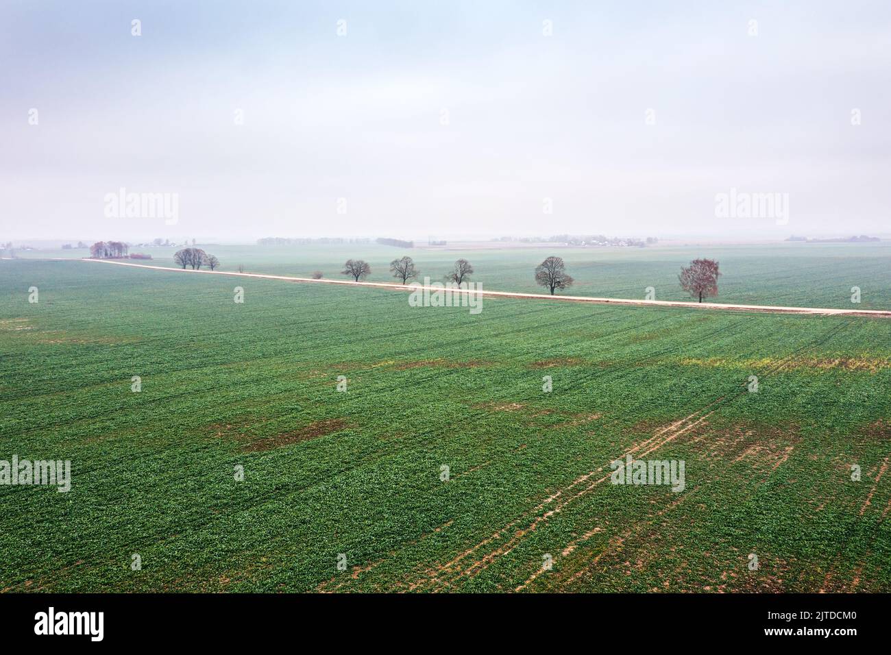 countryside landscape. straight dirt road pass through cultivated green fields. aerial view in foggy autumn day. Stock Photo