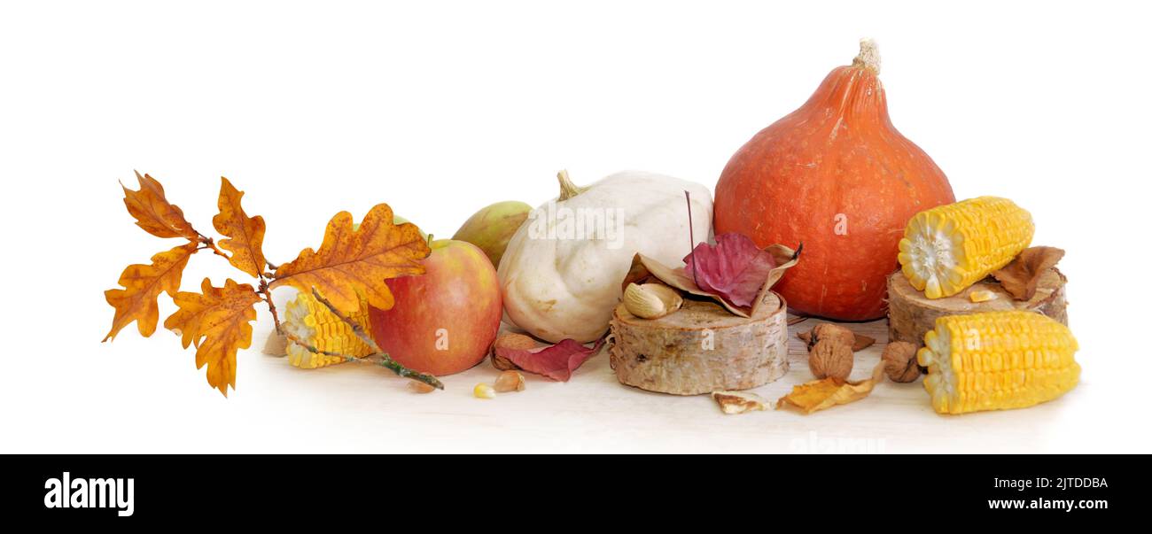 group of colorful autumnal vegetables and fruits with oak leaves on white background Stock Photo