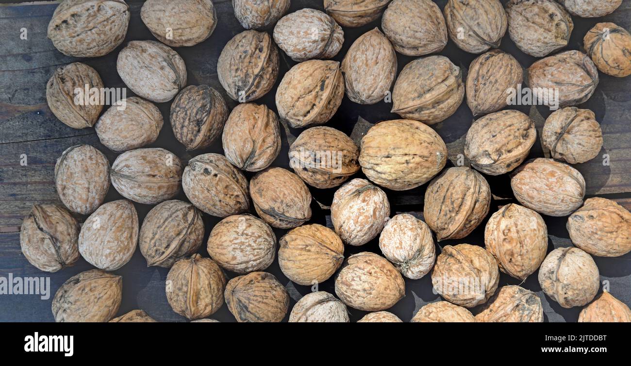 top view on walnuts in their shell spread on a plank Stock Photo