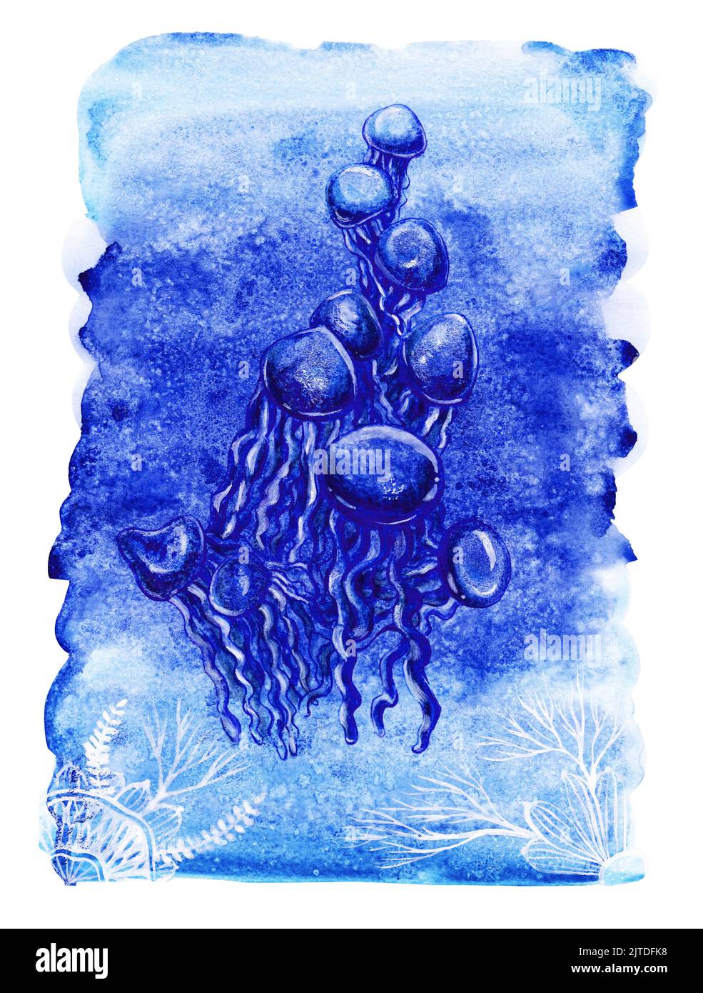 A flock of sea jellyfish. Ink drawing on a watercolor background. Stock Photo