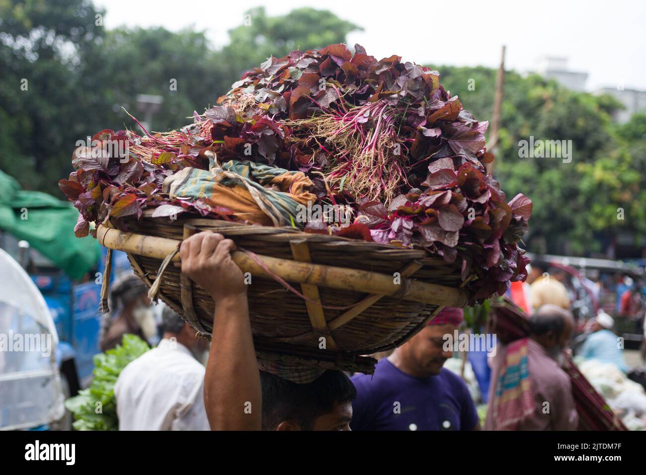 A scenery of a rural vegetable market at Kalatia, near Dhaka. Farmers are selling their fresh vegetables to traders—this is garden-fresh production. Stock Photo