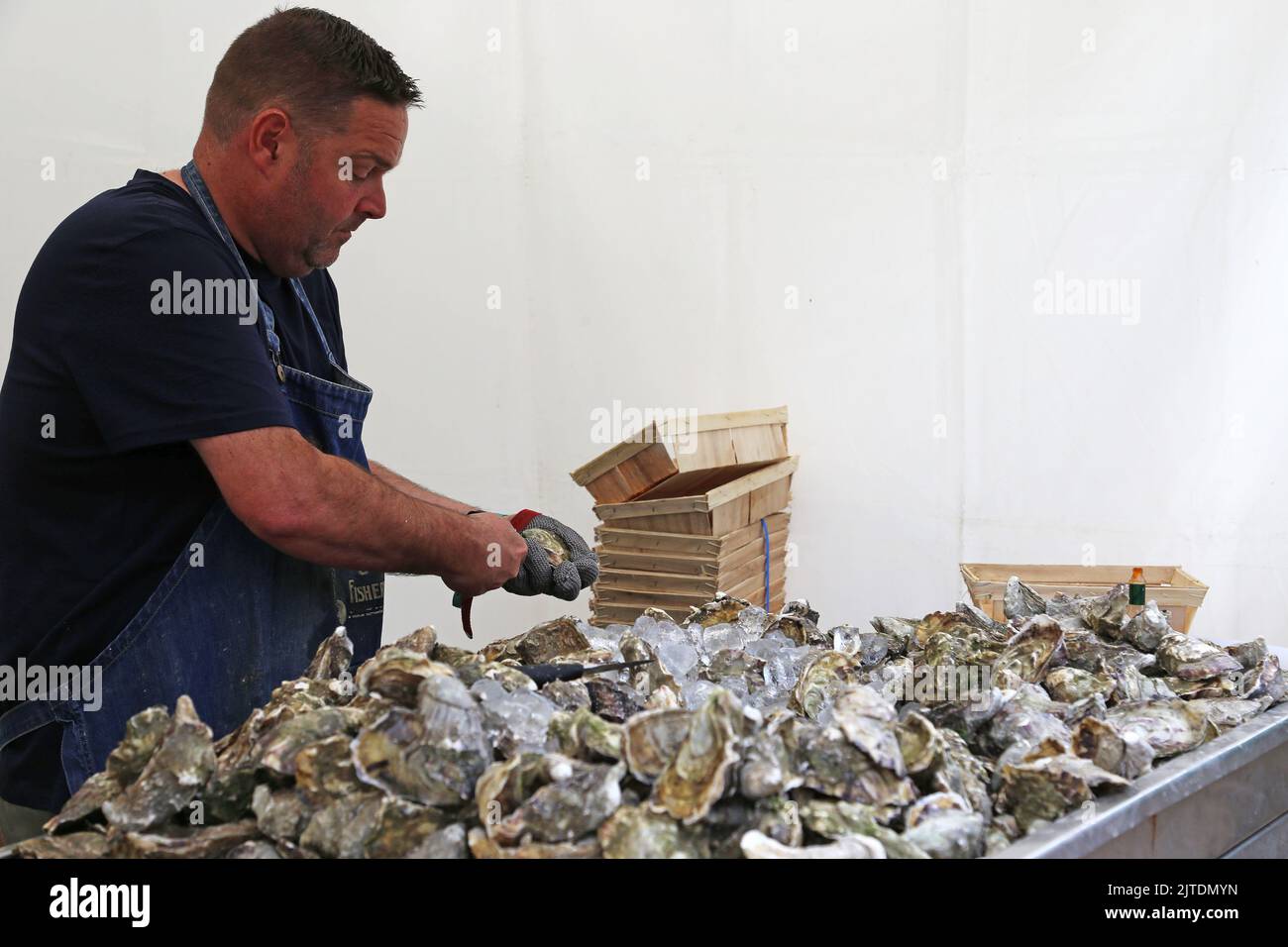 Rossmore Oysters, Food Festival, Hampton Court Palace, East Molesey