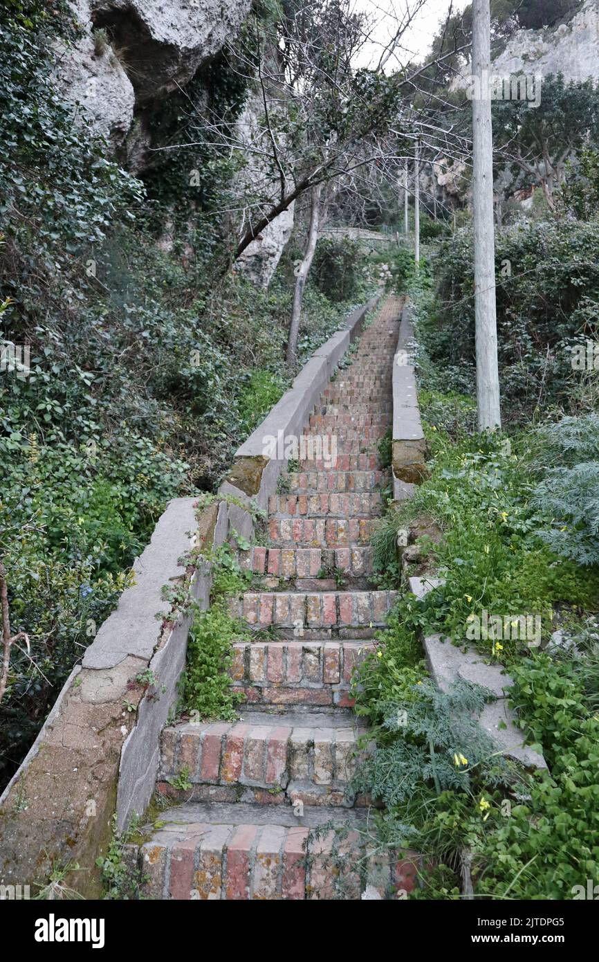 Sentiero panoramico naturale hi-res stock photography and images - Alamy