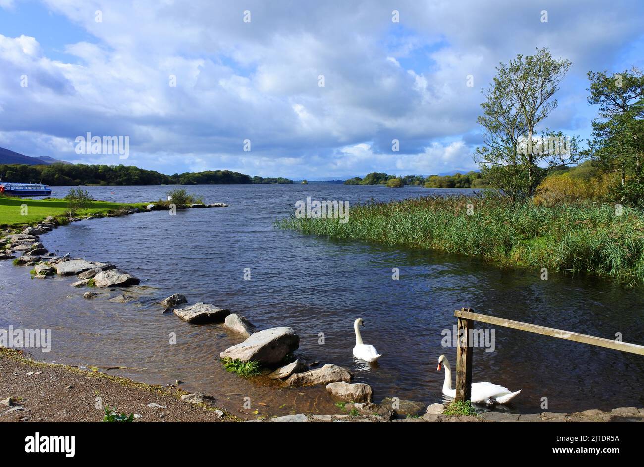 Lough Leane on the Ring of Kerry, County, Kerry, Ireland - John Gollop Stock Photo