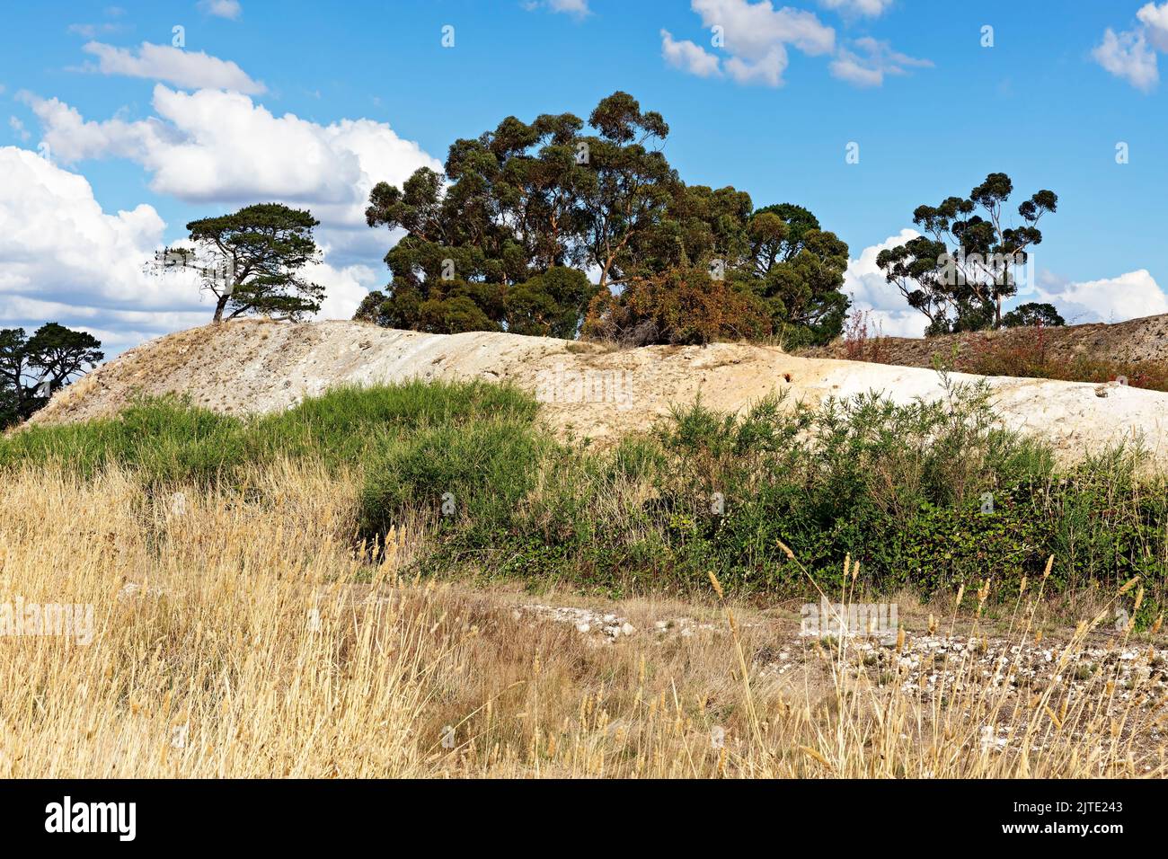 Clunes Australia / The former Lothair Gold Mine in Clunes in Victoria Australia.The discovery of gold in 1850 marked the begining of the rich gold rus Stock Photo
