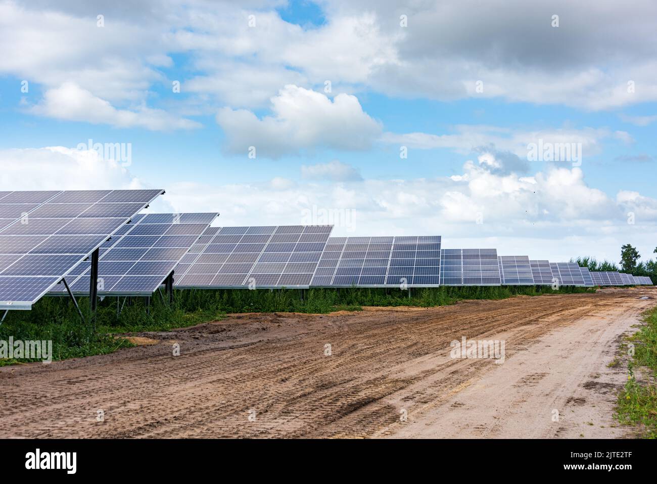 Fotovoltaikanlage zur Erzeugung von Grünem Strom  auf einem Feld in Schleswig-Holstein Stock Photo
