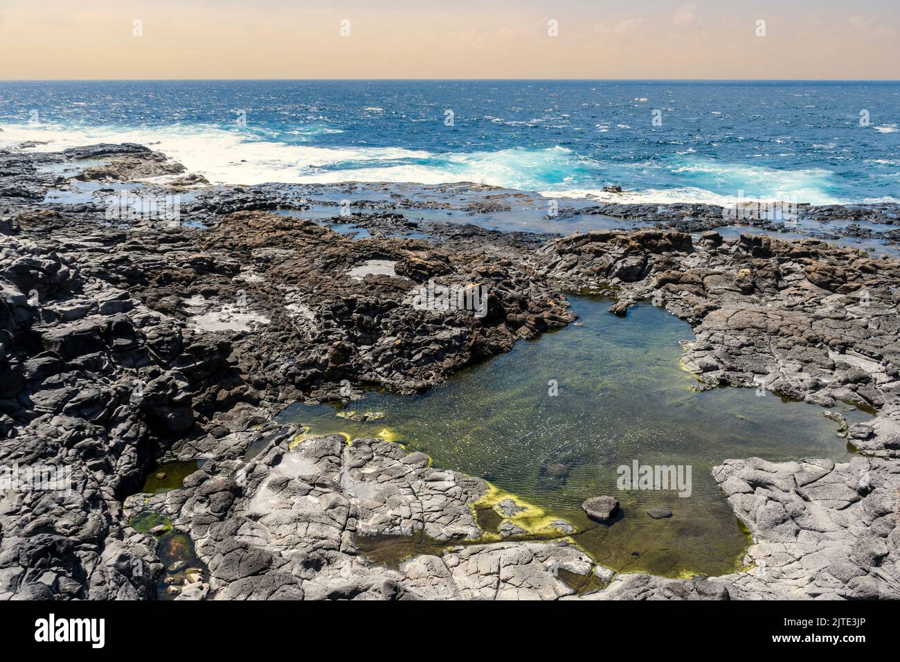 Charcones natural pools with green algae in Lanzarote, Canary Islands, Spain Stock Photo