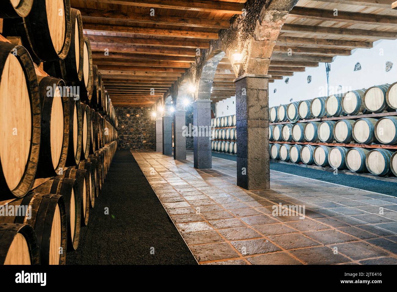 Wine cellar with many wooden barrels on Lanzarote, Canary Islands