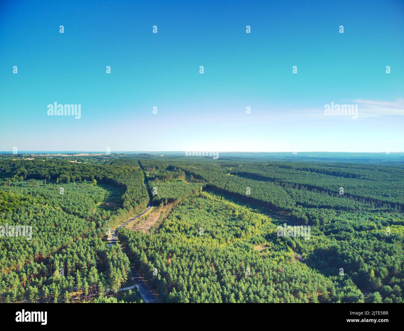 An aerial view of dense green forests under blue sky Stock Photo - Alamy