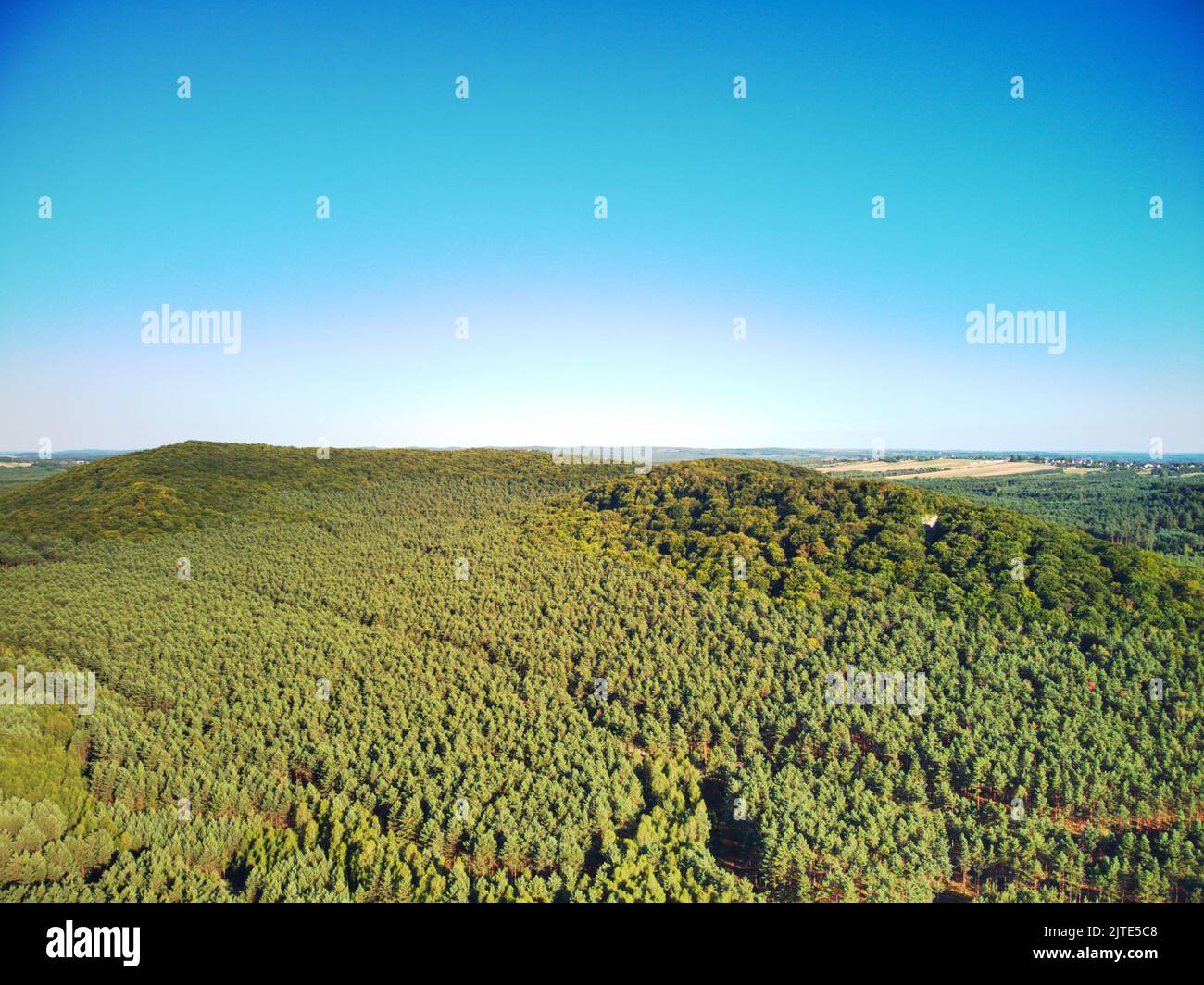 An aerial view of dense green forests under blue sky Stock Photo - Alamy