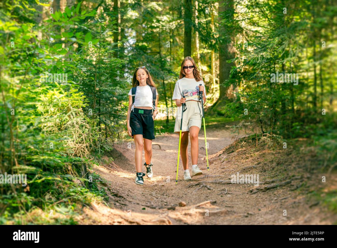 Teenage girls walking through the forest. Well-trodden forest trail for walking. The girls carry a backpack and walking sticks Stock Photo