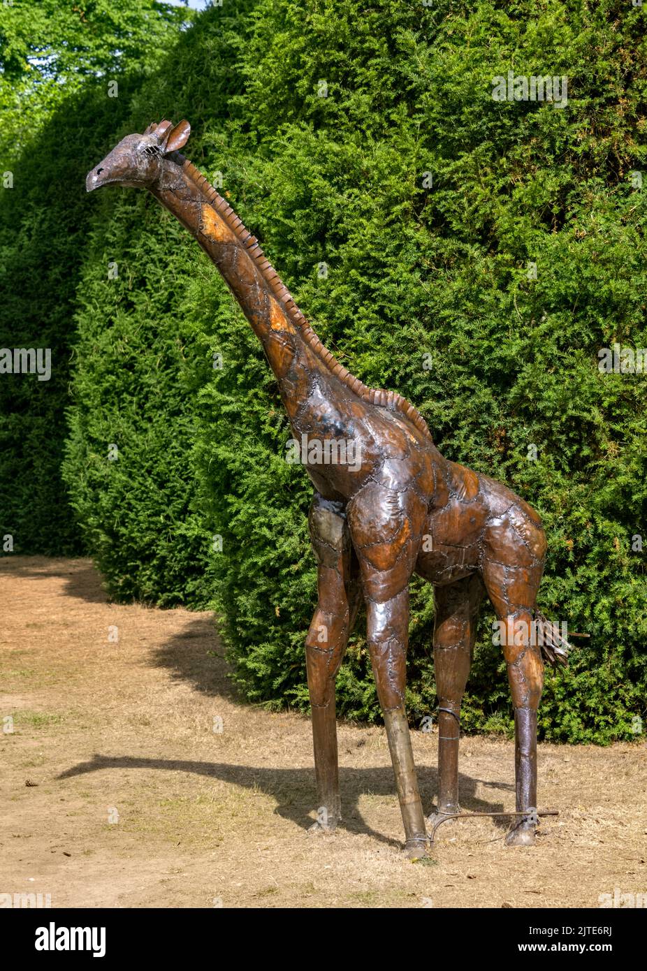 Metal Giraffe Sculpture Knebworth House and Gardens Stock Photo