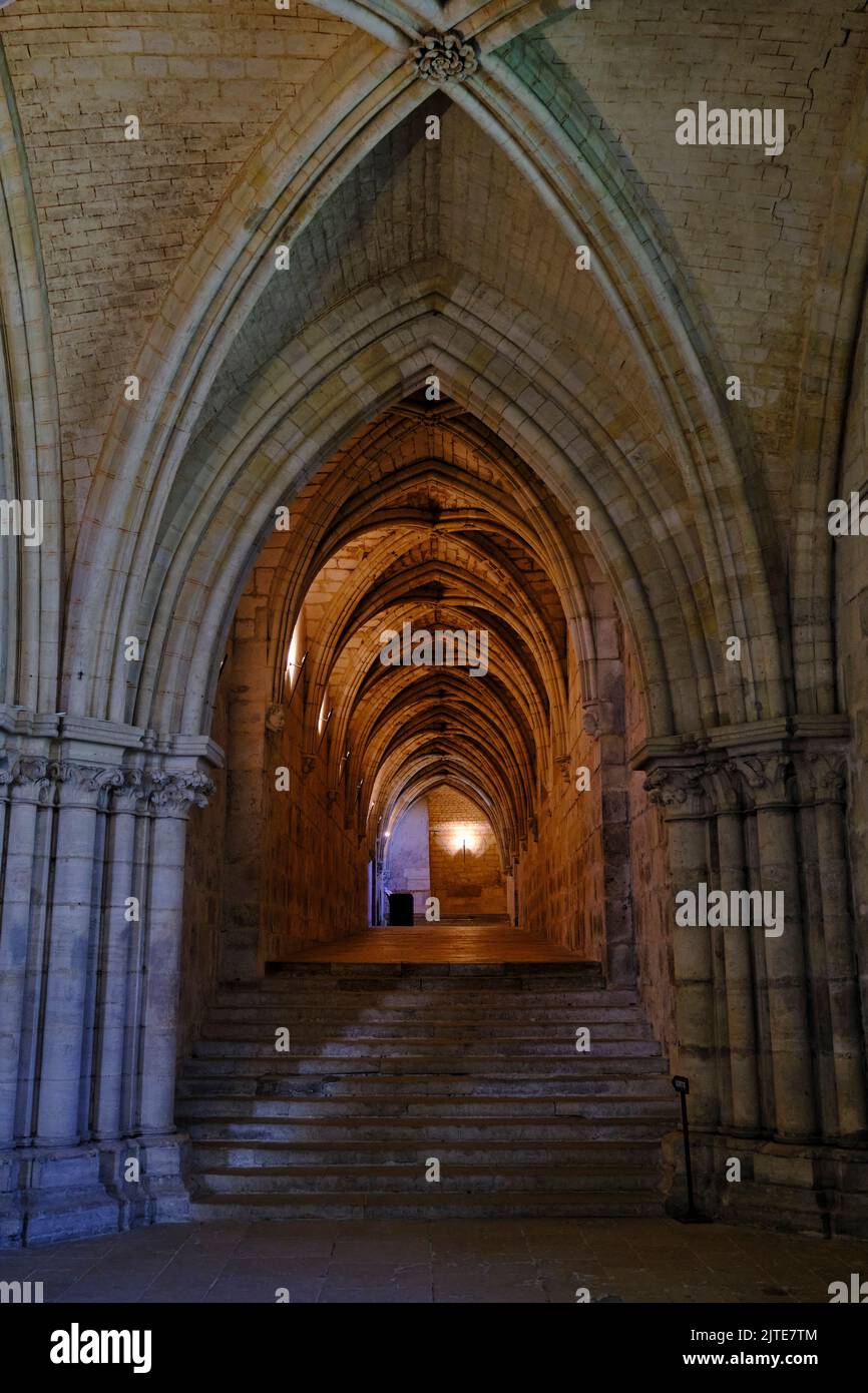 France, Cher (18), Bourges, St Etienne cathedral, UNESCO world heritage, the crypt Stock Photo