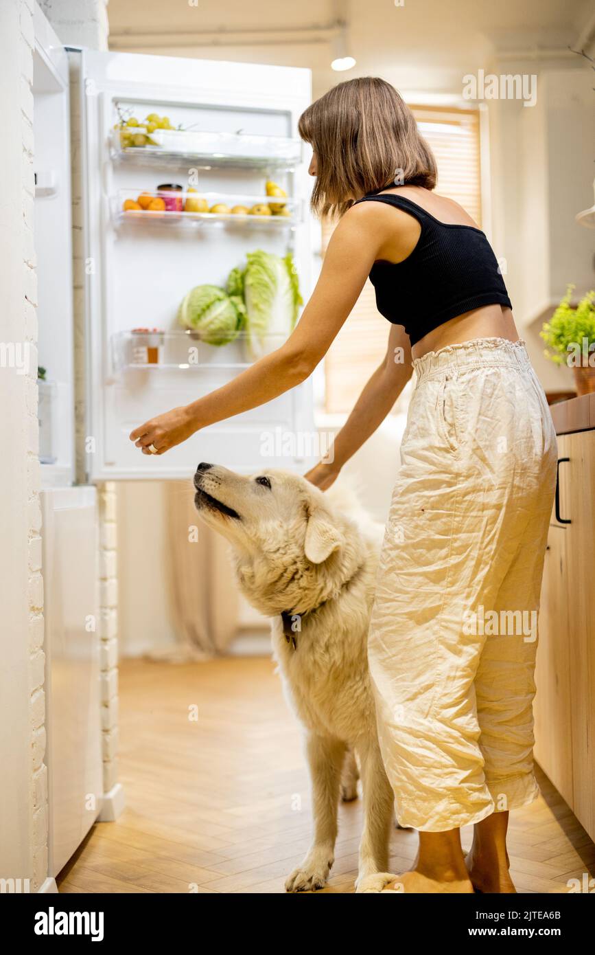 Woman with dog opens fridge filled with healthy food ingredients Stock