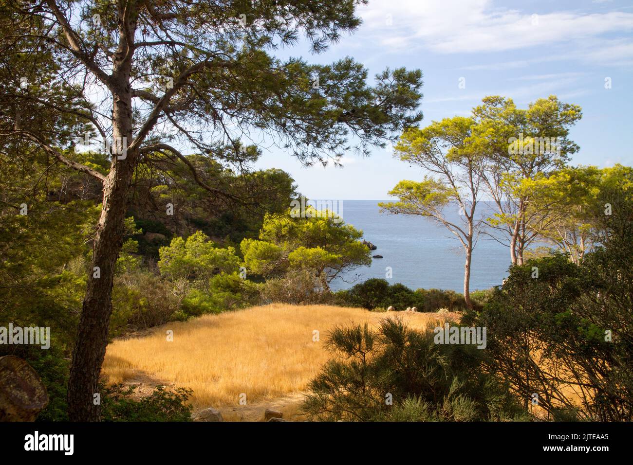 Sa Dragonera island, Mallorca Spain Natural park reserve Mediterranean Stock Photo