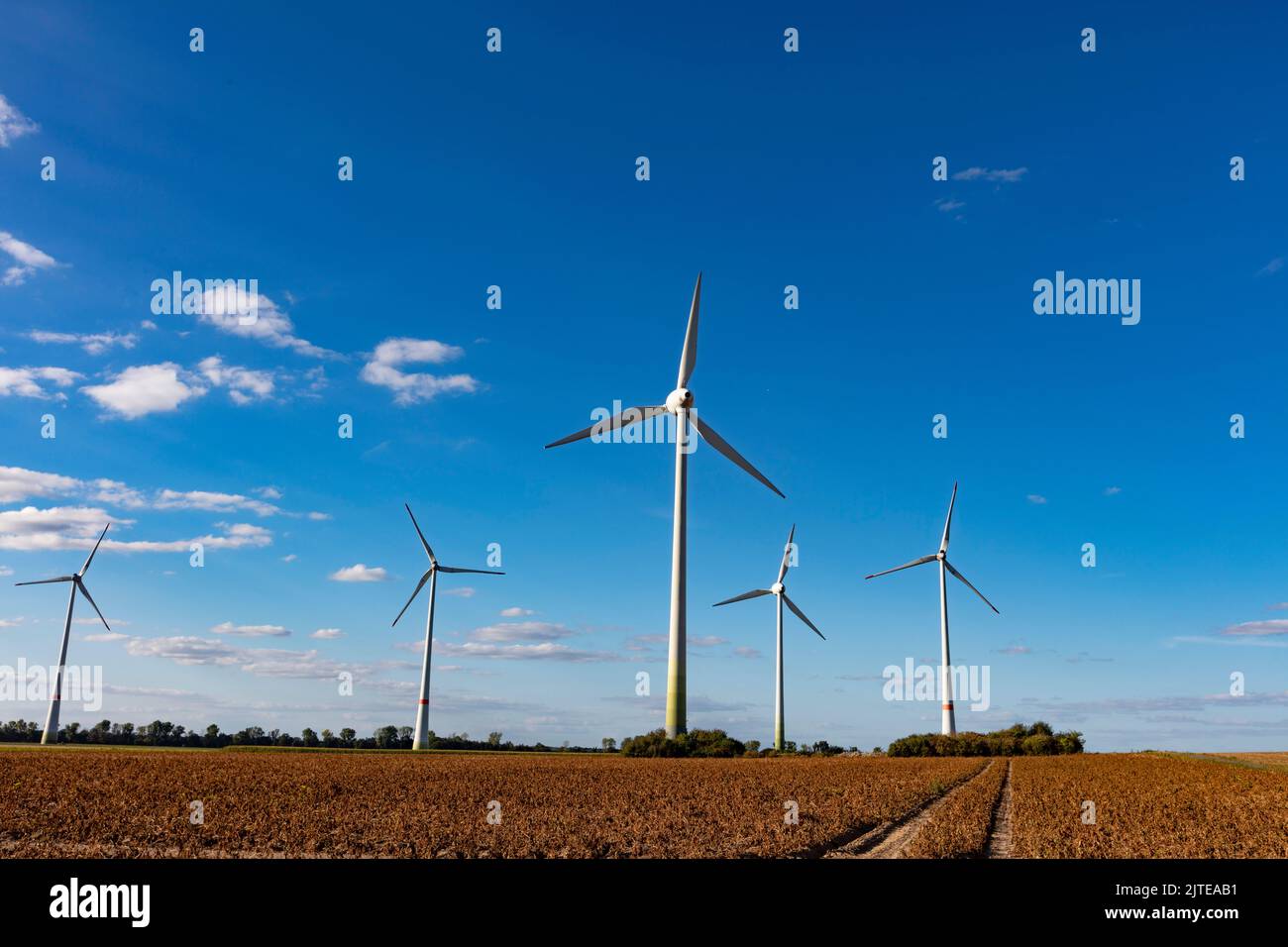 Windkraftanlage in Issum vor blauem Himmel Stock Photo