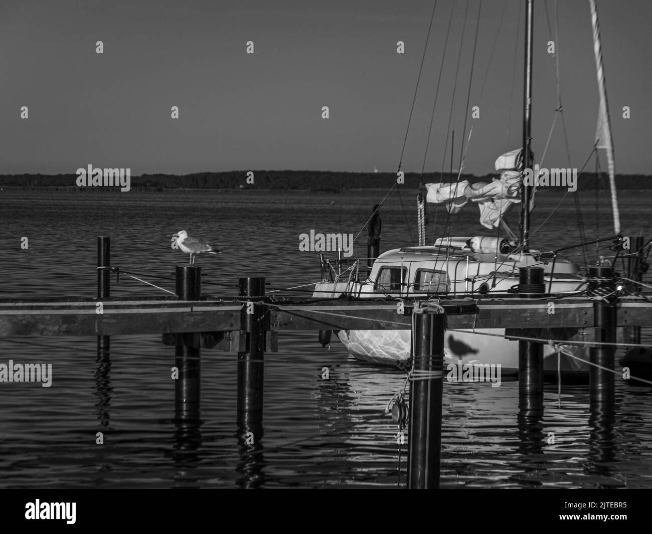 Harbor cruise Black and White Stock Photos & Images - Alamy