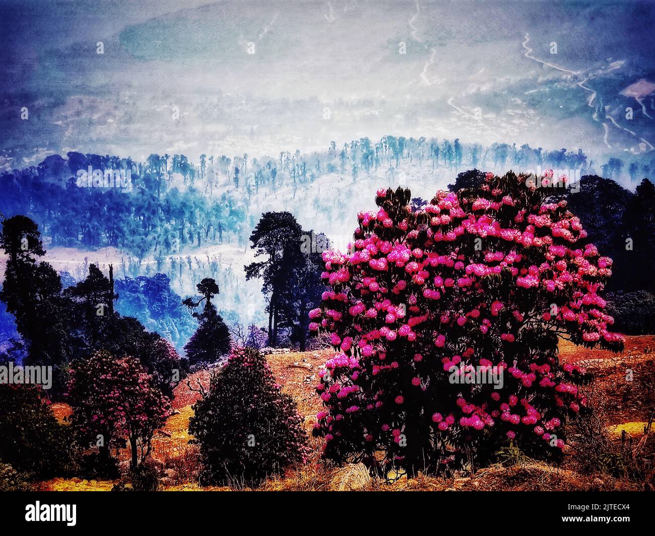 Jungle wallpaper background hi-res stock photography and images - Alamy