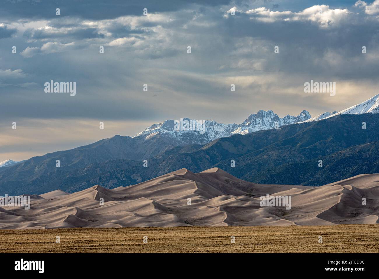 Wind Swept Dunes Below Snow capped Mountains in Colorado park Stock