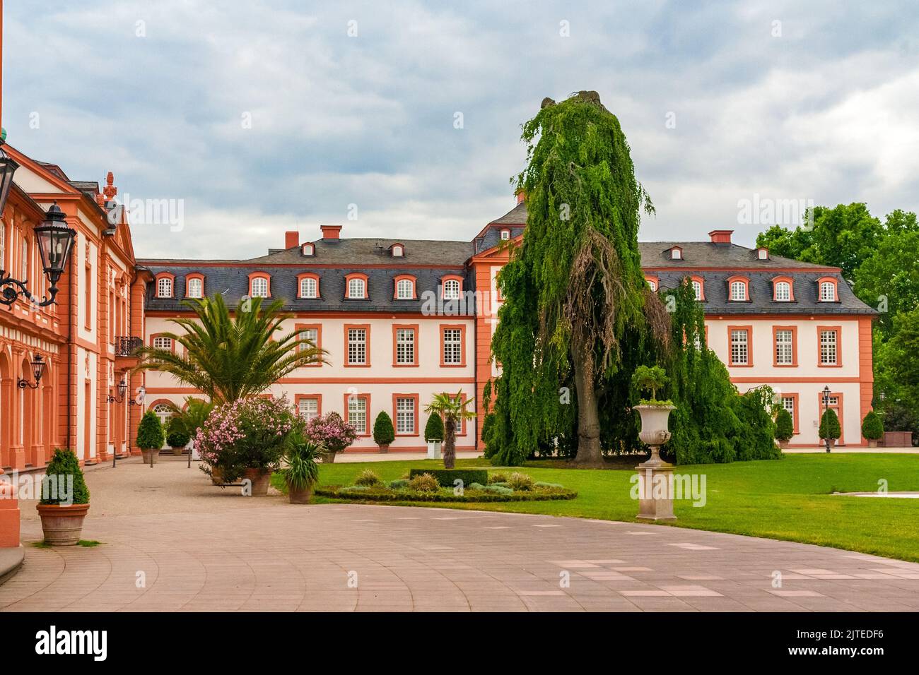 Lovely view of the flowers, the palm tree and the weeping beech in front of the west wing in the cour d'honneur of the famous Biebrich Palace in... Stock Photo