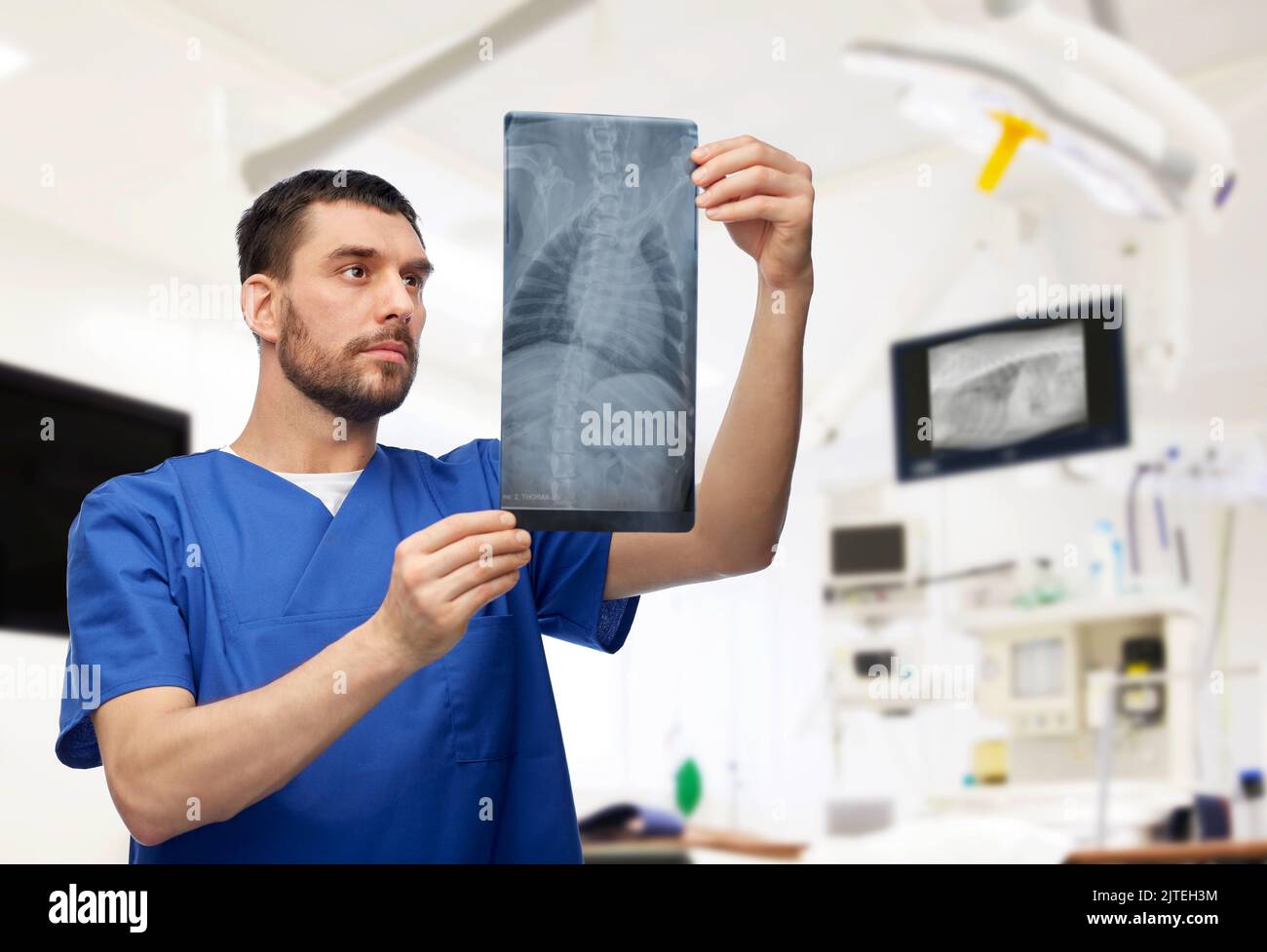 veterinarian with animal's xray at vet clinic Stock Photo Alamy