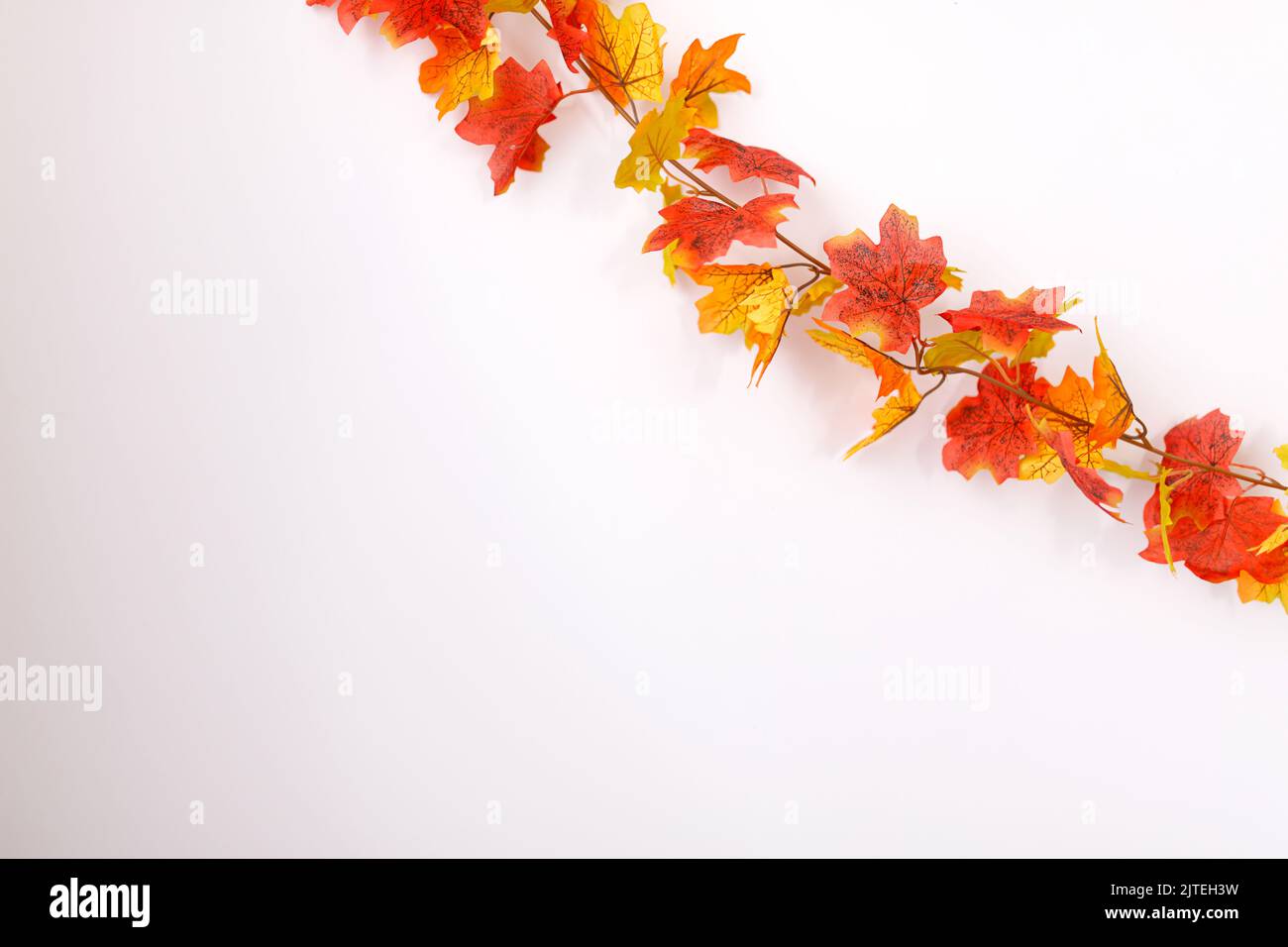 Thanksgiving background. Autumn or fall season. Stock Photo