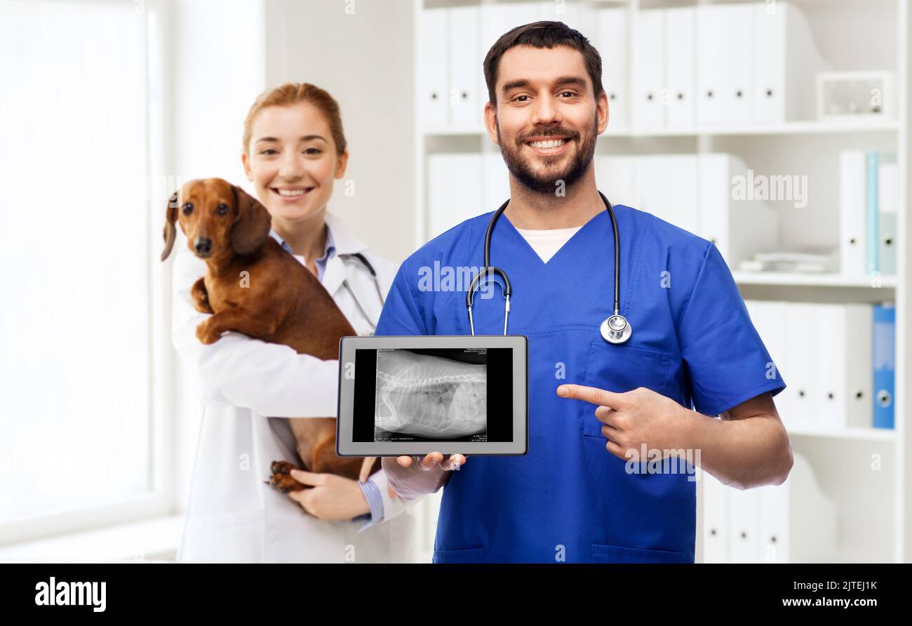 vet doctors with dog and xray on tablet computer Stock Photo Alamy