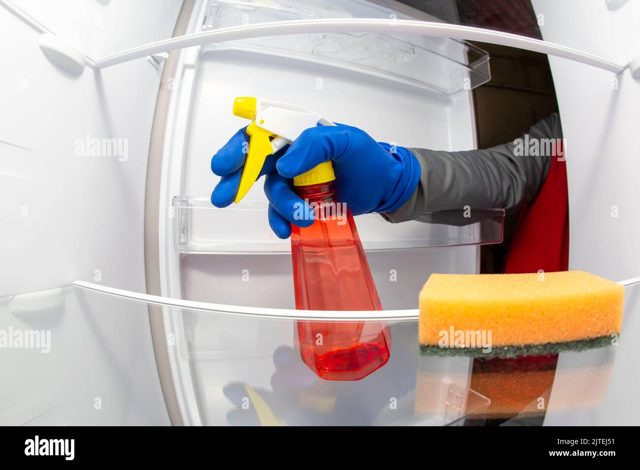 cleaning and washing the inside of the refrigerator with a detergent