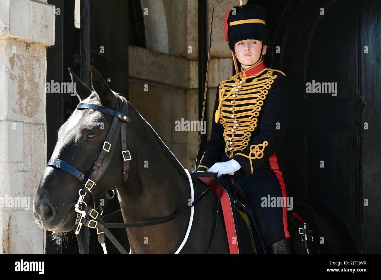 Female Horse Guard, The Kings Troop Royal Artillery, Horseguards Parade