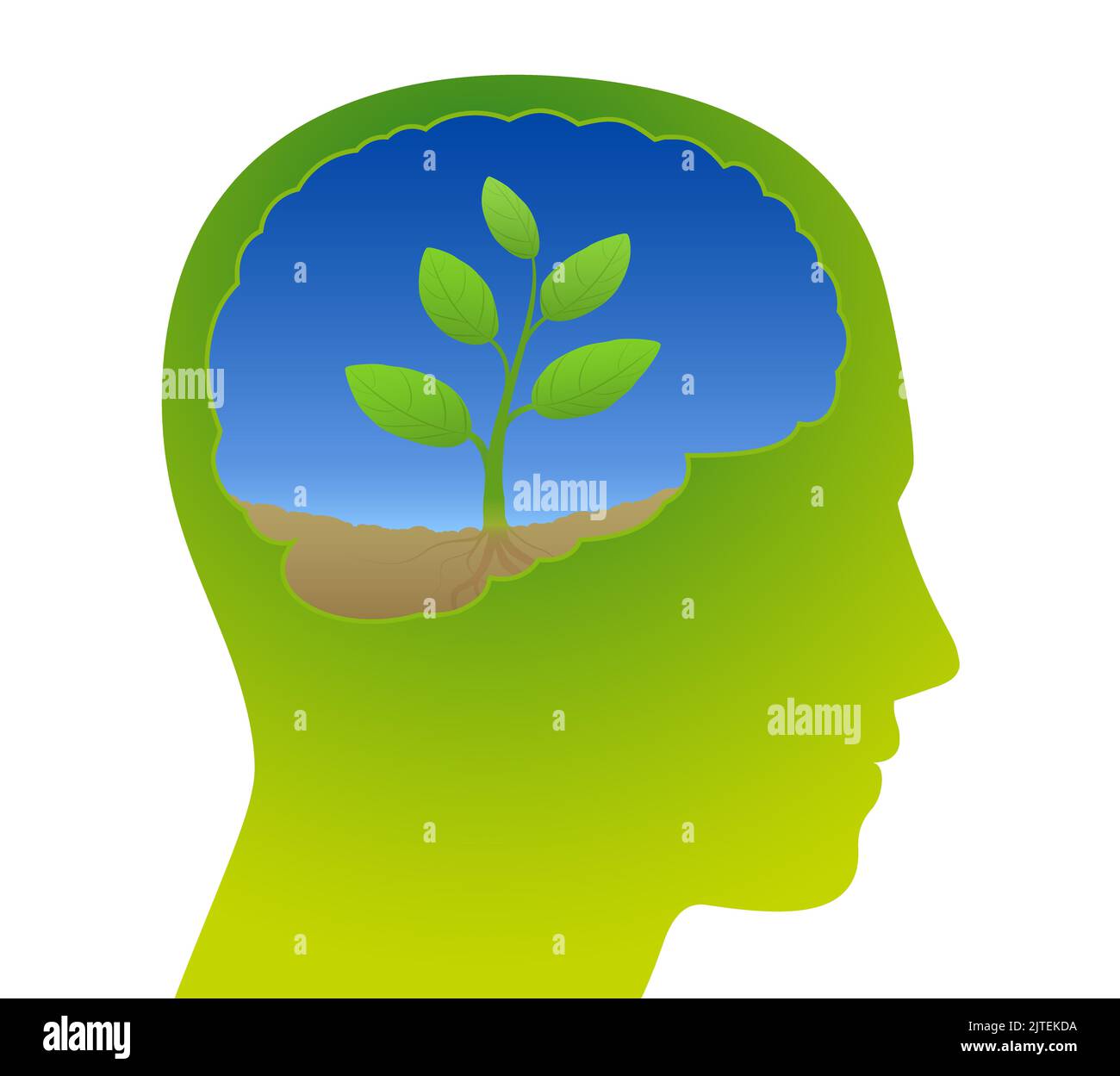 Brain with little sprout, symbol for sustainability, conscious handling of nature, mindful ecological cultivation and high awareness and knowledge. Stock Photo