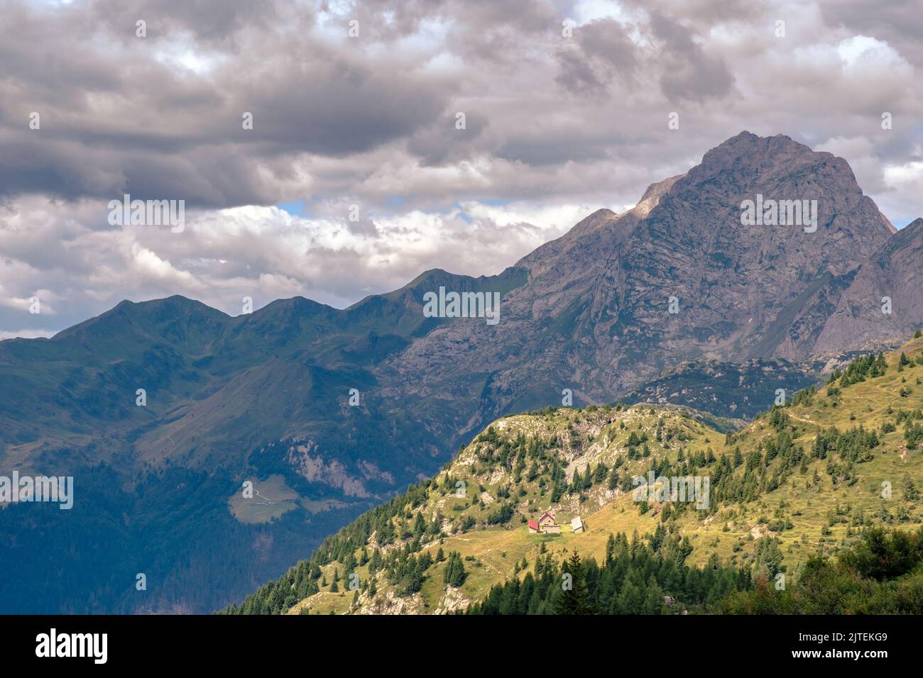 Summer day in the alps of Friuli Venezia-Giulia, Italy Stock Photo - Alamy