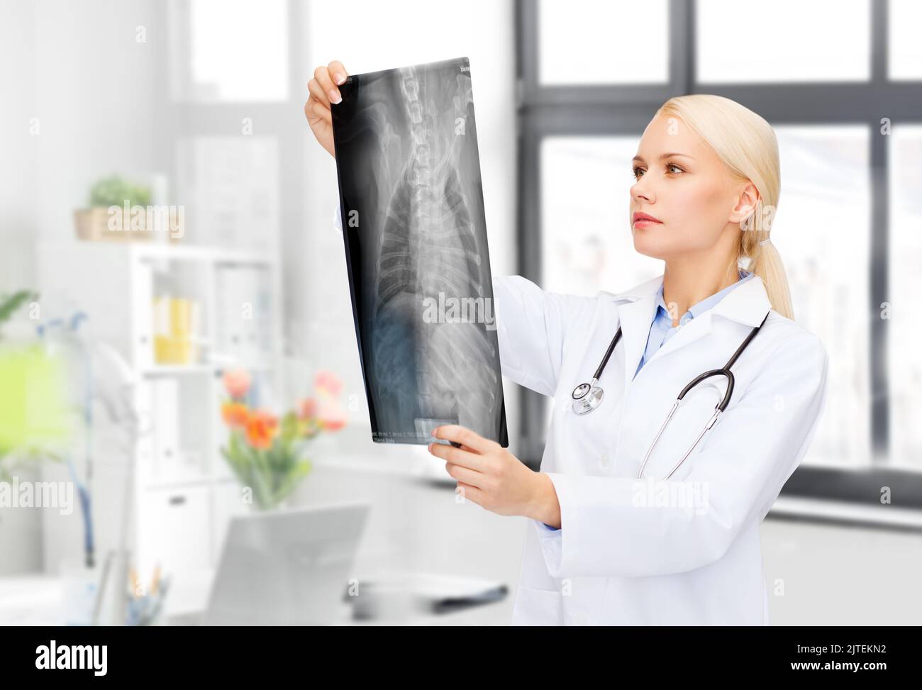 veterinarian with animal's xray at vet clinic Stock Photo Alamy