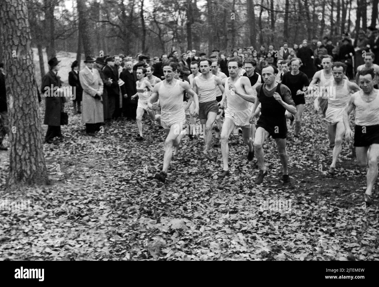 Läufer am Start bei der Waldlaufmeisterschaft in Tegel, Berlin, Deutschland 1947. Stock Photo