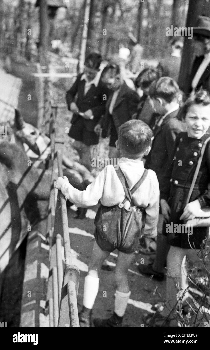 Kinder zoo Black and White Stock Photos & Images - Alamy