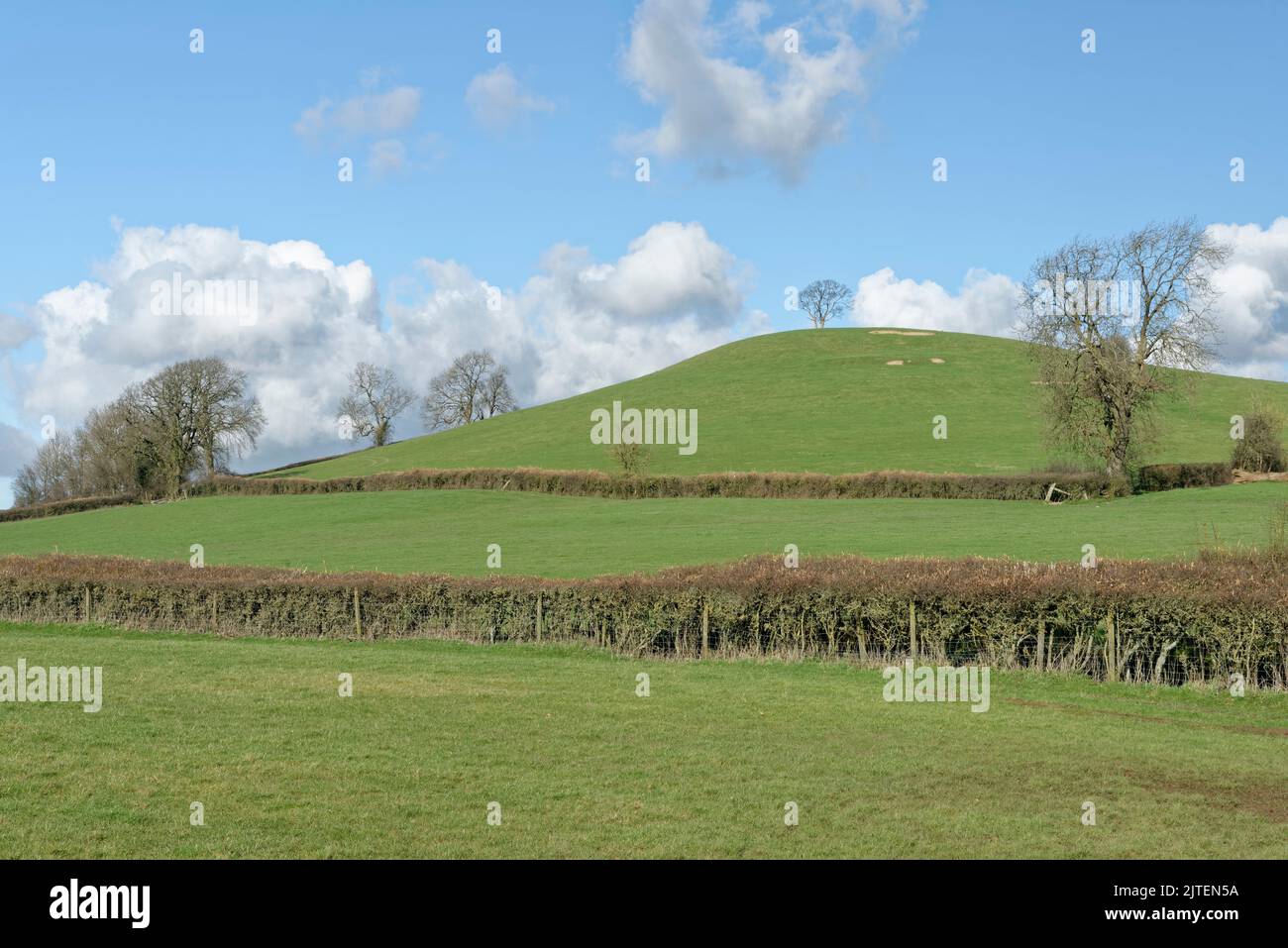 Priest Barrow, possibly a Bronze Age burial mound, Farmborough, near Priston, Bath and northeast Somerset, February 2021. Stock Photo