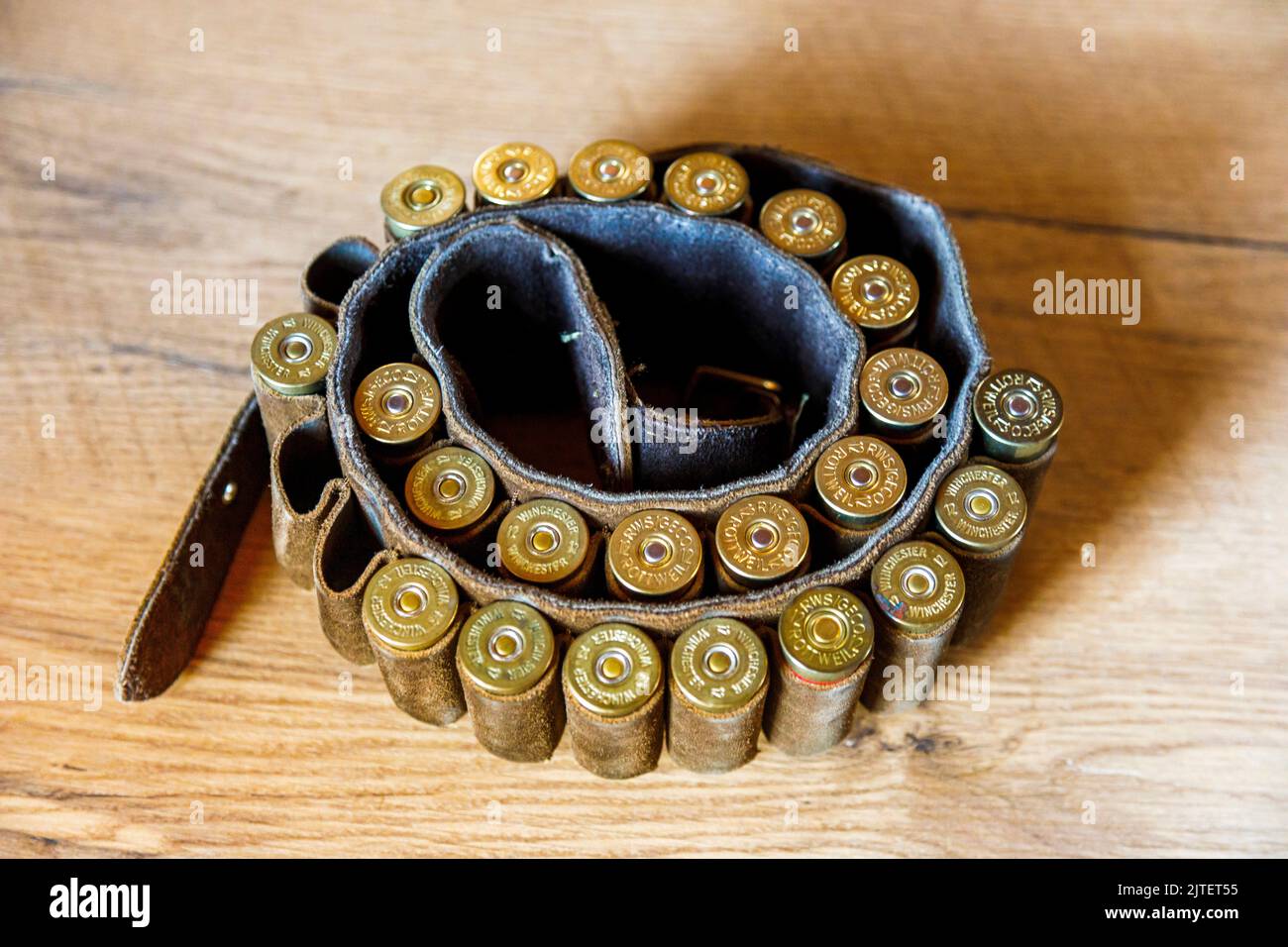 Cartridge belt with 12 gauge shotgun ammunition Stock Photo Alamy