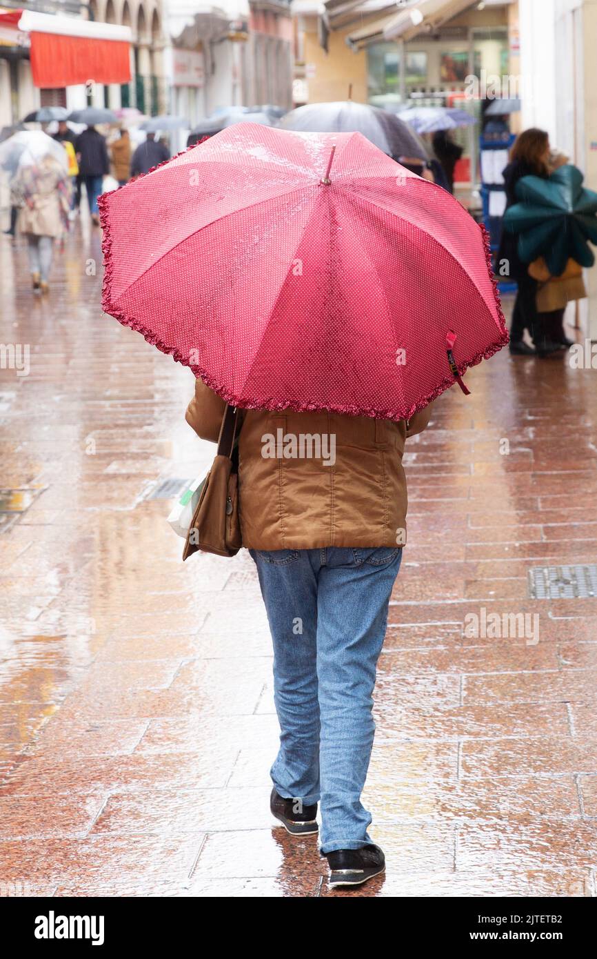 person with umbrella walking in the rain Stock Photo - Alamy