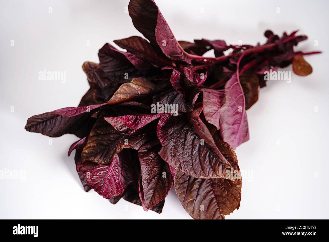 Fresh homegrown Red Spinach isolated on white, selective focus Stock Photo